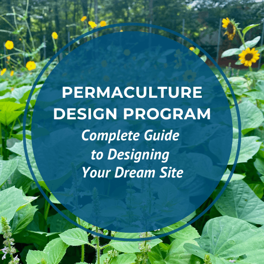 Permaculture Design Program logo